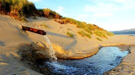نیاز 50 میلیون شغل جدید تا سال ۱۴۲۰ به منابع آب

