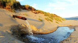 نیاز 50 میلیون شغل جدید تا سال ۱۴۲۰ به منابع آب


