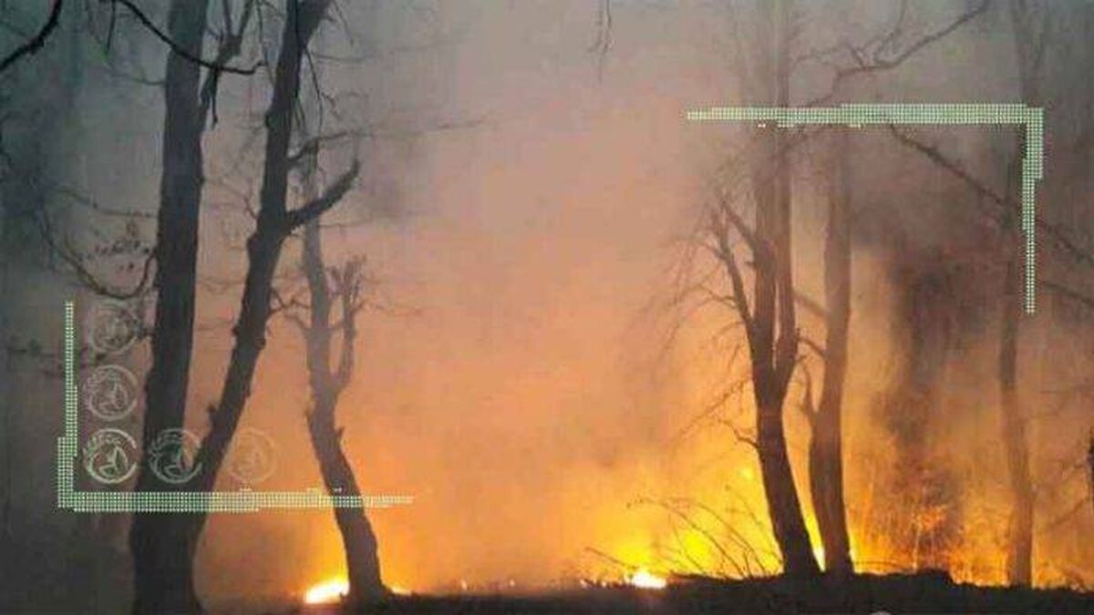 نکاتی درباره آتش سوزی جنگل‌ها
