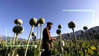 افغانستان مکملی برای کشاورزی ایران