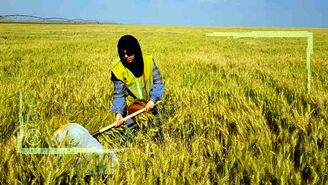 ترویج، ضامن اصلی افزایش بهره‌وری