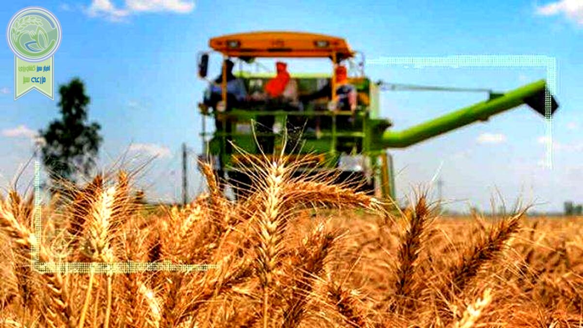 تولید یا حفظ منابع آبی، کدام راهبردی‌تر است؟