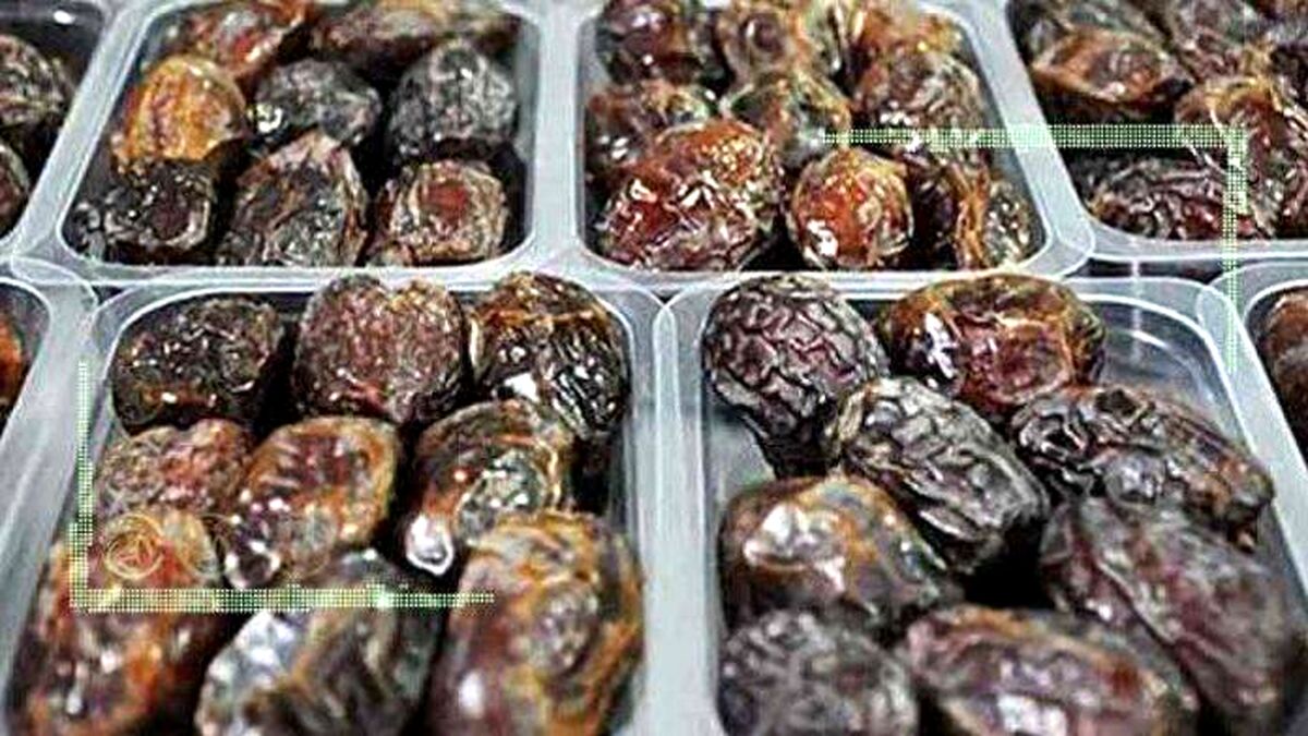 ۷۰ هزار تن خرما روانه بازار می‌شود