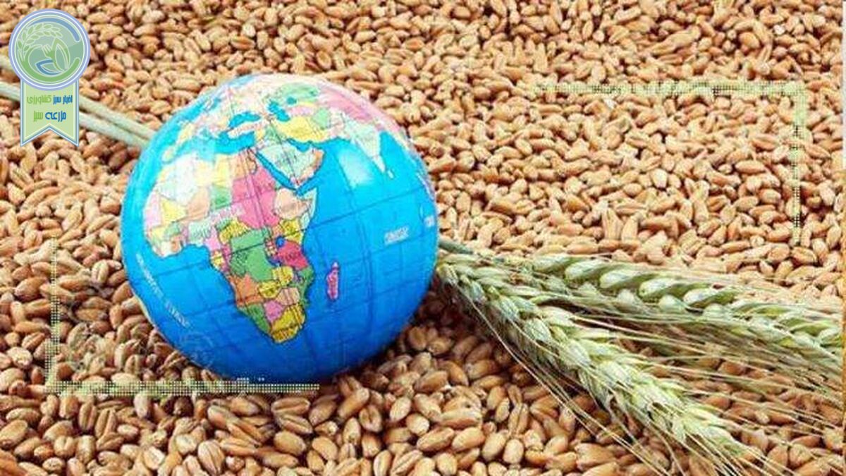 ضرورت اقدام فوری در زمینه امنیت ‌غذایی