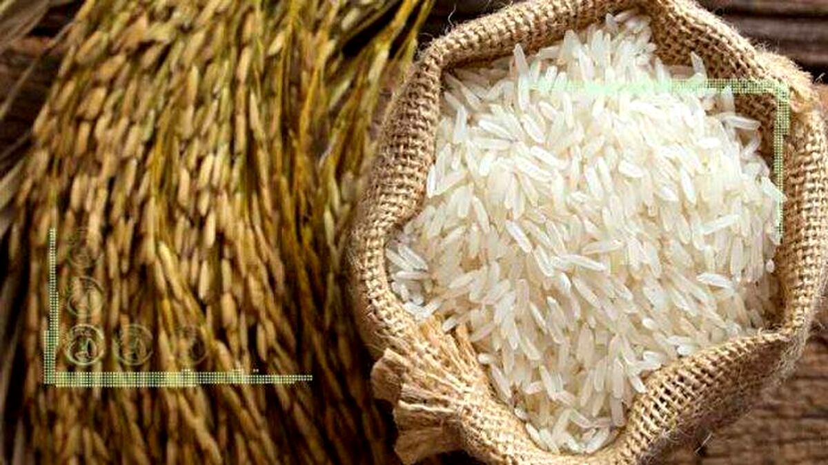 گرانی برنج پای وزیر را به مجلس کشاند