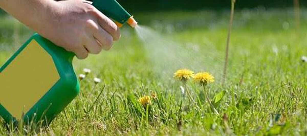 شش علف کش خانگی، بدون آسیب رسانی به خاک