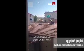 فرار یک گوسفند قبل از قربانی شدن به پشت بام + ویدئو
