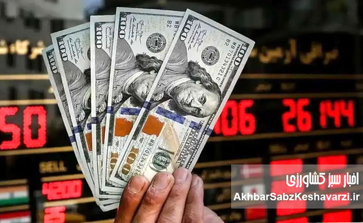 یارانه نقدی و ارز تک‌نرخی؛ ضرورت اقتصادی یا چالش اجتماعی؟
