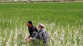چهارم خرداد، روز درفول ناشکسته