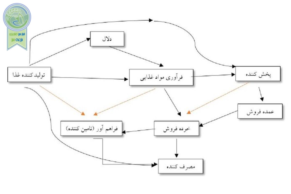 زنجیره‌های غذایی، شاهراه نجات حیات بشر