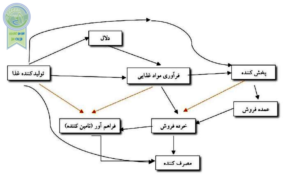 زنجیره‌های غذایی، شاهراه نجات حیات بشر