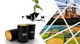 کشاورزی باید شاگرد اول دولت باشد