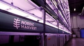 افتتاح مزرعه عمودی عظیم در دانمارک