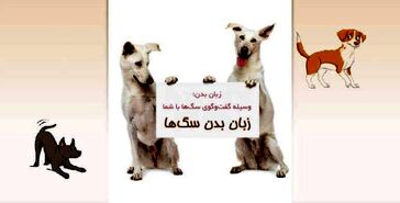 زبان بدن سگ‌ها
