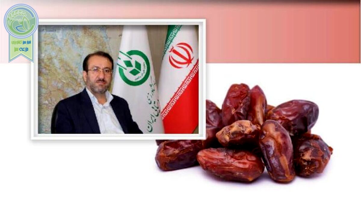 فکرسازمان مرکزی تعاون روستایی برای خرمای خوزستان