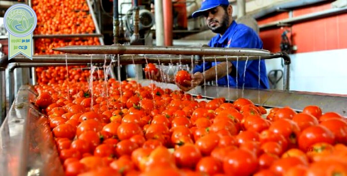 گرانفروشی رب به بهانه افزایش قیمت گوجه‌فرنگی