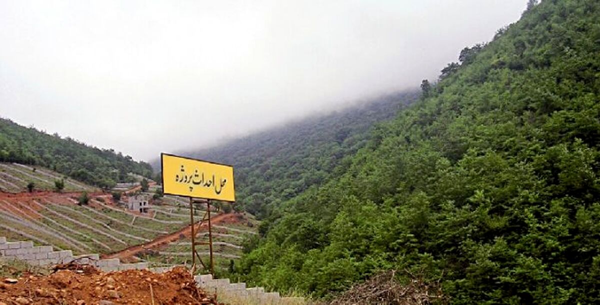 غارت منابع طبیعی گیلان در سایه غفلت مسئولان