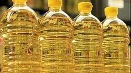 بلاتکلیفی دولت در تخصیص ارز برای روغن نباتی