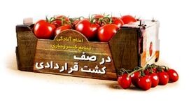 اعلام آمادگی صنایع کنسروسازی برای کشت قراردادی