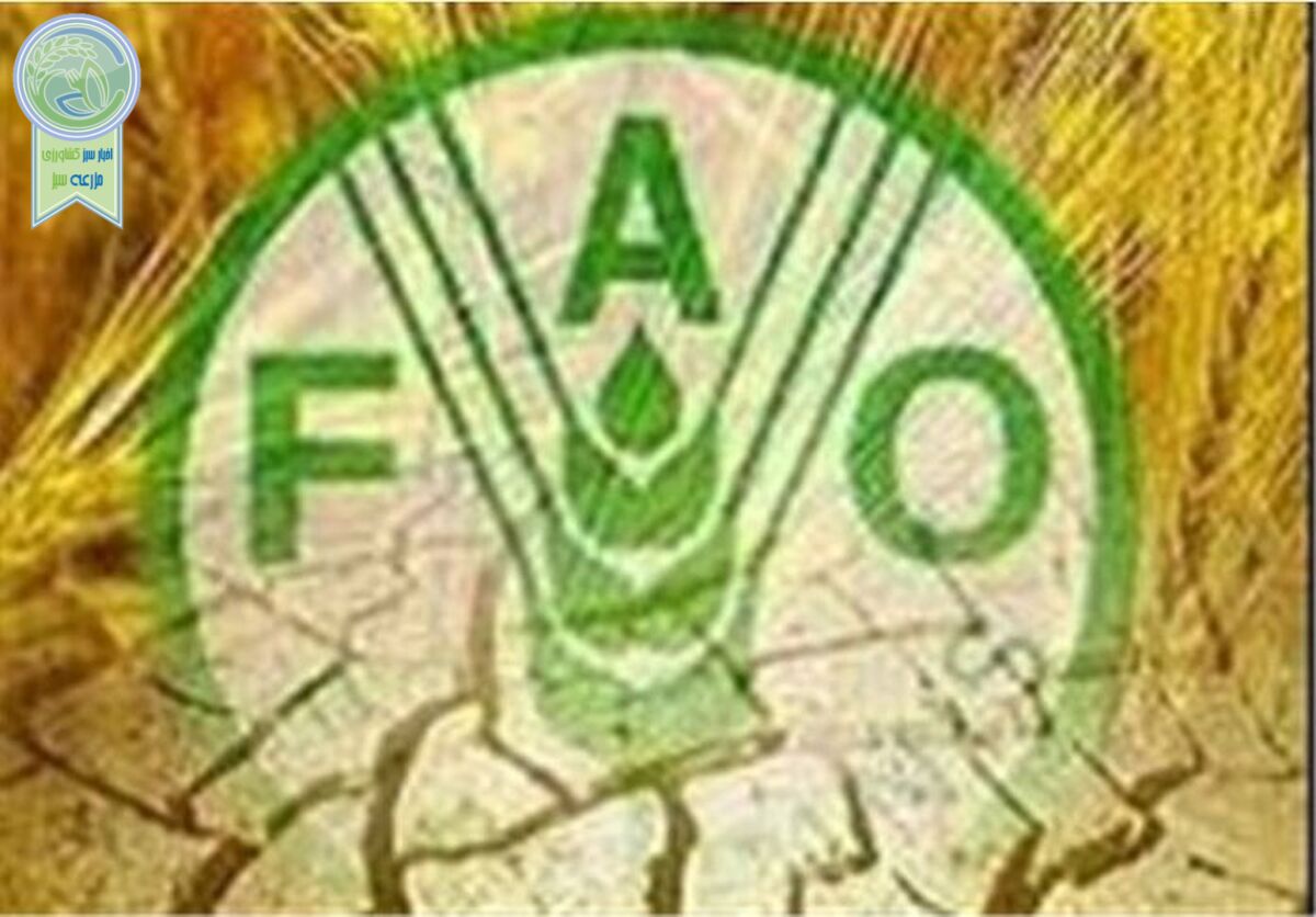 رکودزنی قیمت غذا طی ۱۰ ساله گذشته