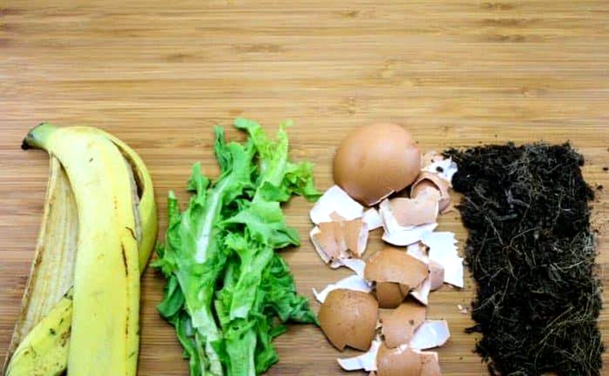 ۵ فرمول جادویی برای ساخت کود خانگی از زباله‌های آشپزخانه

