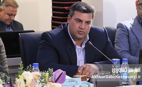افشین احمدی: بیمه کشاورزی در روزهای بحران، تکیه‌گاه تولیدکننده است