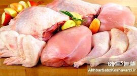 زیان مرغداران و نوسان قیمت مرغ؛ بازار مرغ در فشار کمبود نهاده‌ها