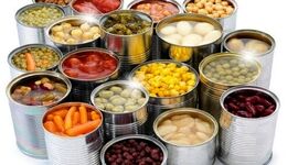 کمبود صنایع تبدیلی آفتی بر پیکره کشاورزی