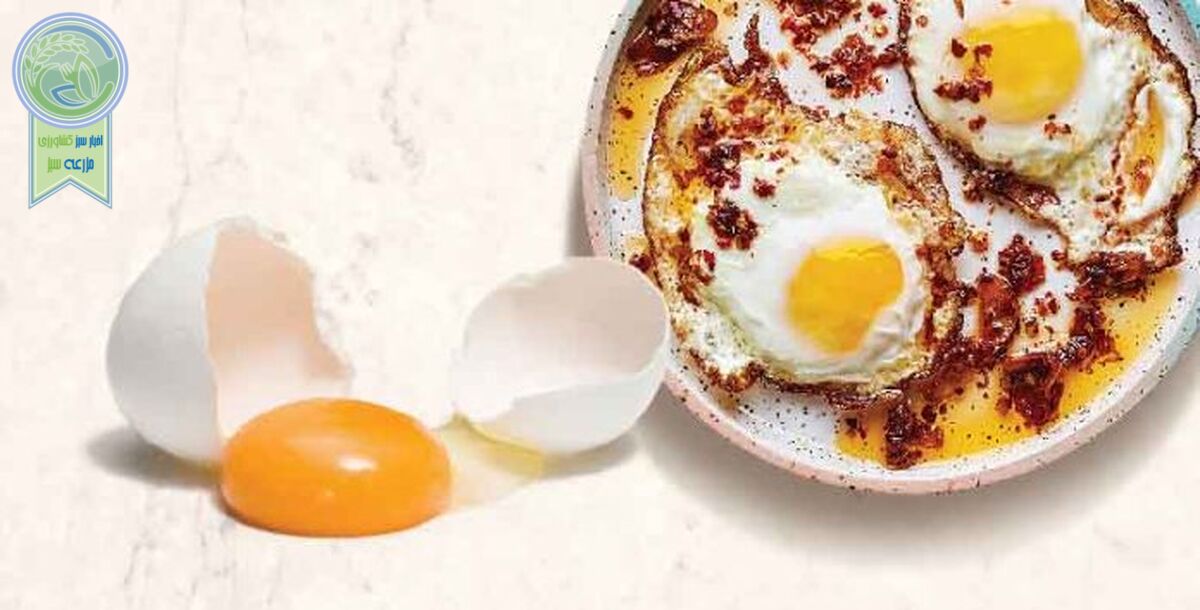 تخم‌مرغ غذایی کامل و مقوی