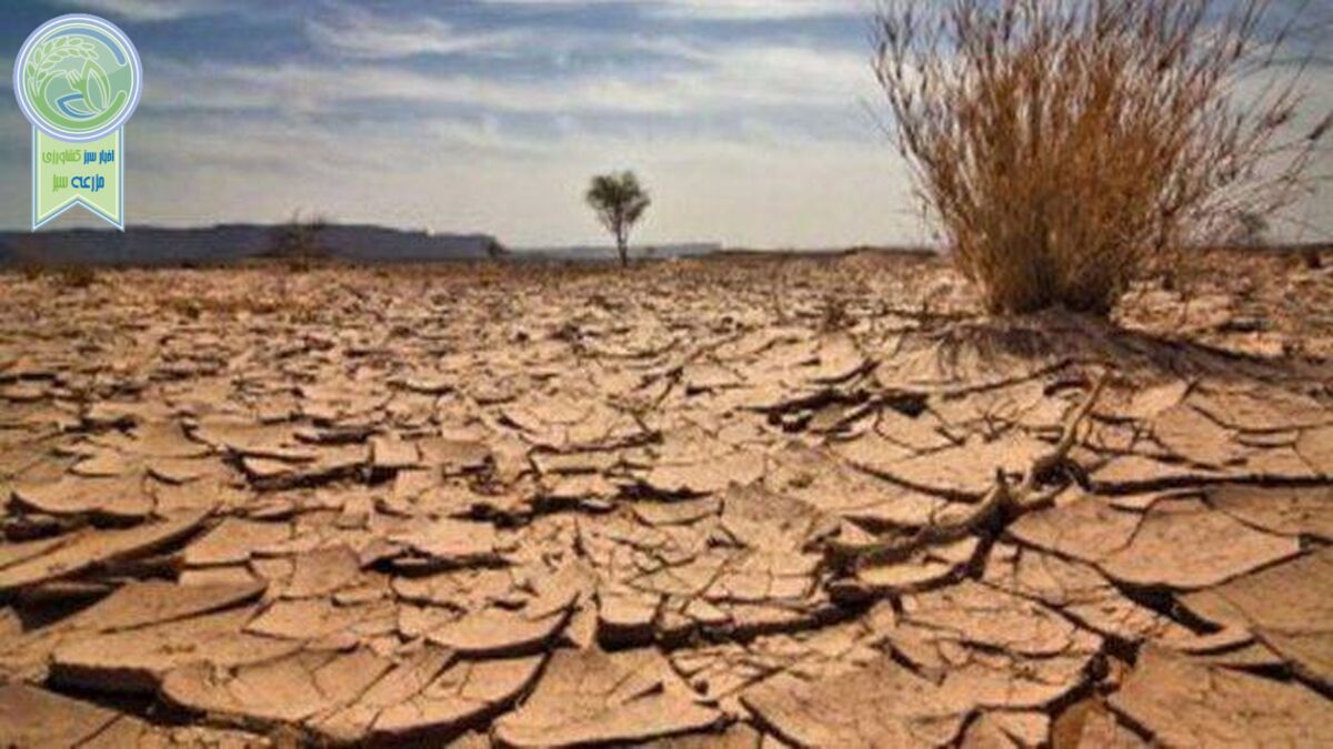 نفس های خاک در ایران به شماره افتاده است