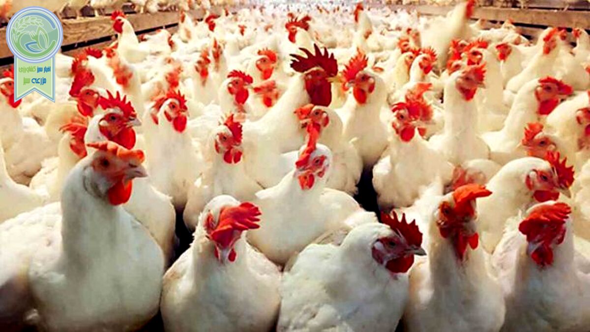 افزایش بی رویه قیمت اقلام مصرفی