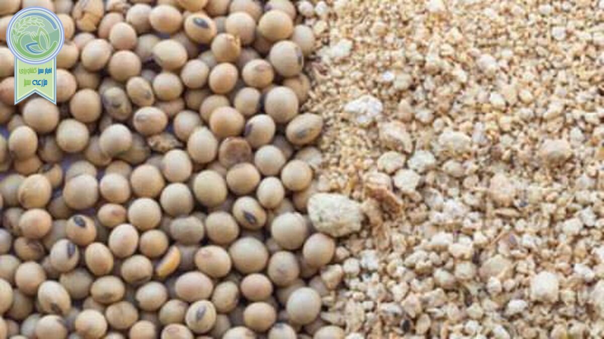 افزایش قیمت نهاده ها در پی حذف ارز ۴۲۰۰ تومانی