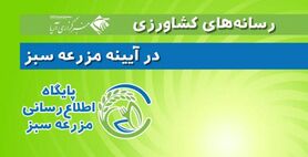 آزادیخواه در غیرمحرمانه: بازار محصولات کشاورزی دست دلال است
