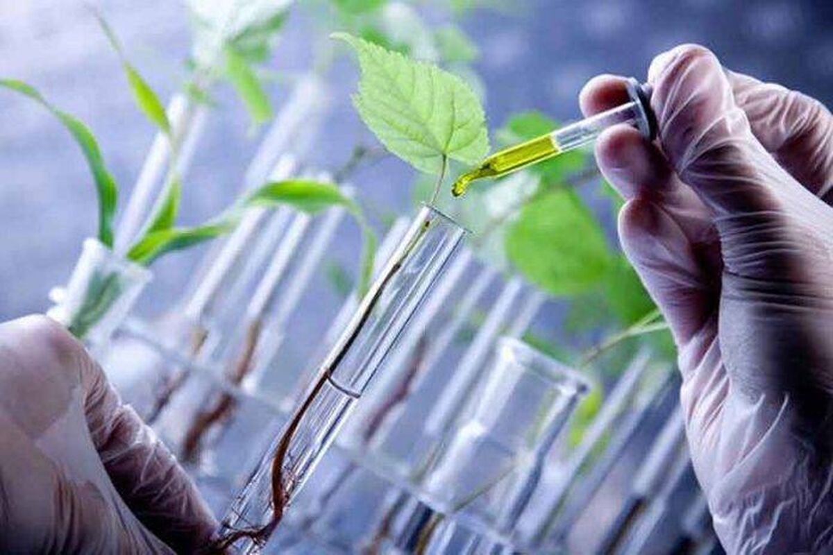 لابی‌های پنج‌گانه موسسه‌های تحقیقاتی