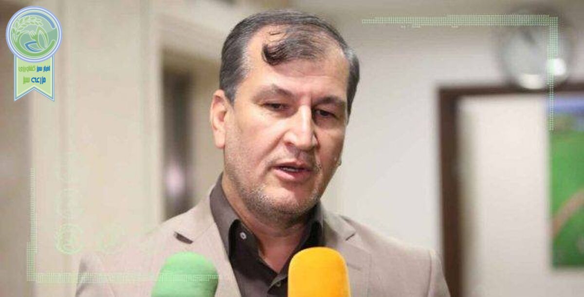 ادامه رایزنی‌ها برای صادرات فلفل دلمه‌ای به روسیه