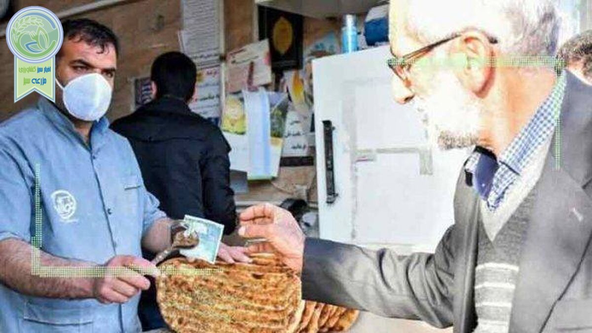 آیا قیمت نان تا پایان سال ثابت می‌ماند؟!