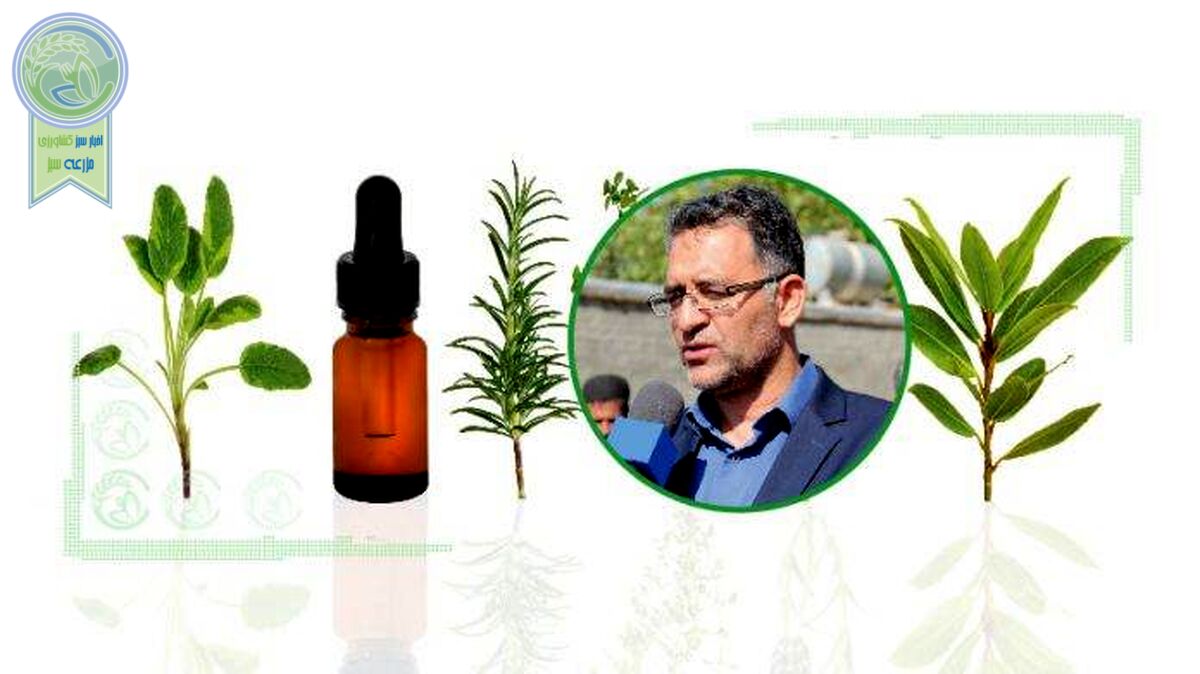 صنعت مغفول مانده گیاهان دارویی