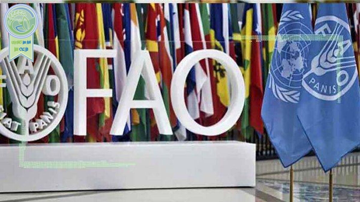 افزایش شدید قیمت غذا در سال 2021