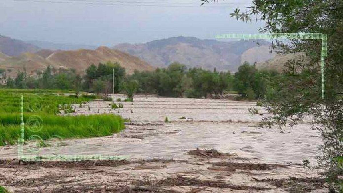 هزاران کشاورز کرمانی در آستانه ورشکستگی