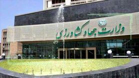 پافشاری وزارت جهاد کشاورزی بر یک تصمیم غلط؟!