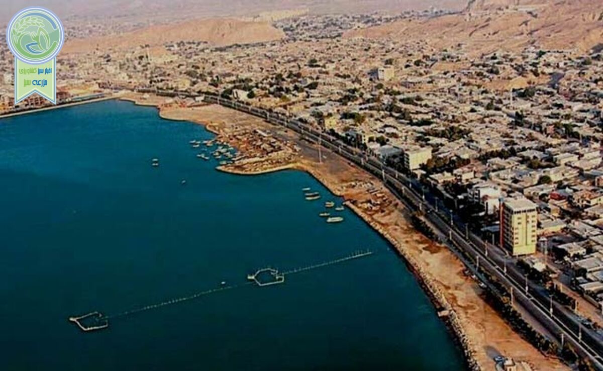نگاه راهبردی پزشکیان به اقتصاد دریامحور

