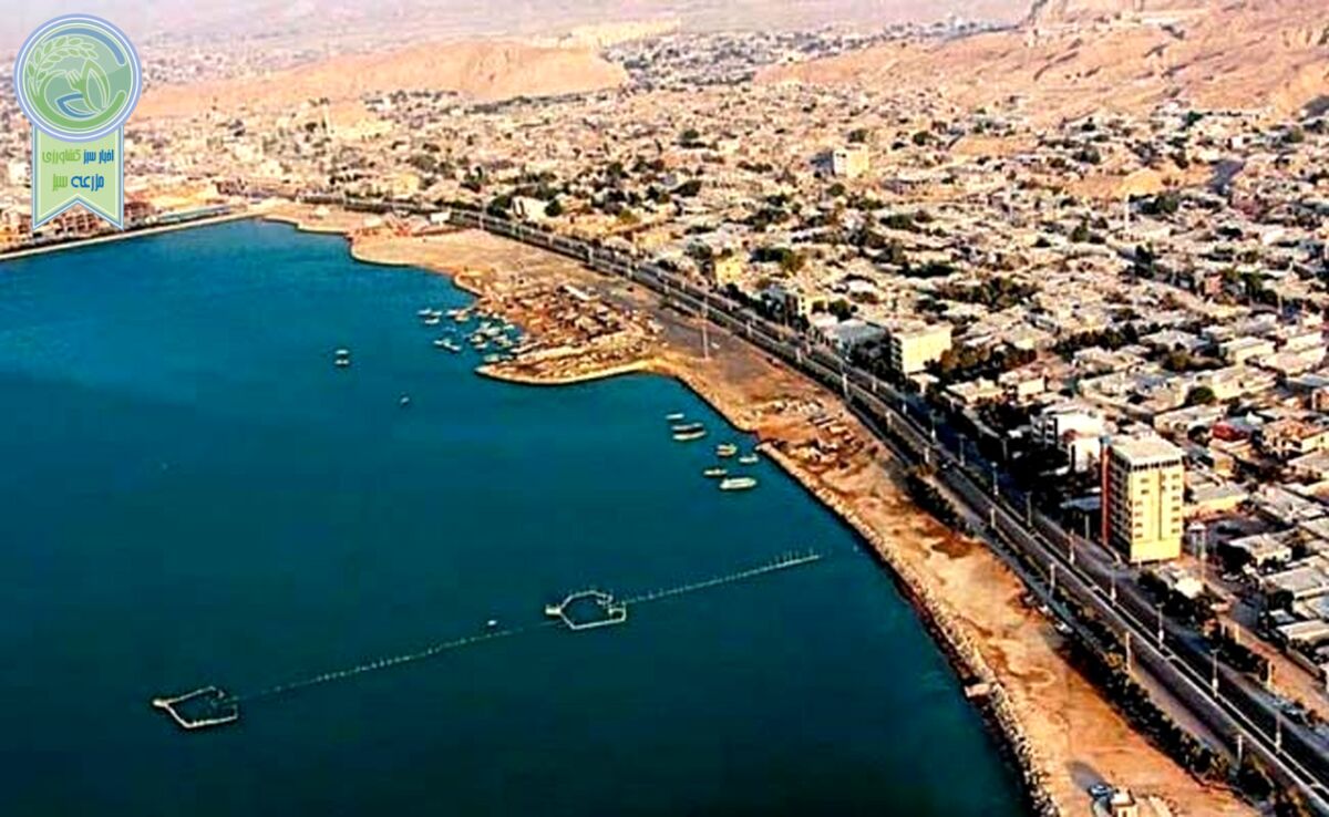 نگاه راهبردی پزشکیان به اقتصاد دریامحور

