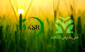 همکاری «ملی شیمی کشاورز» و «کیمیای سبز رفسنجان» برای تولید کودهای استاندارد

