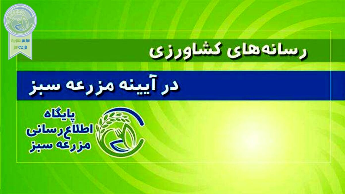 خرید و توزیع هوشمند میوه شب عید؛ چگونه و به چه قیمتی؟