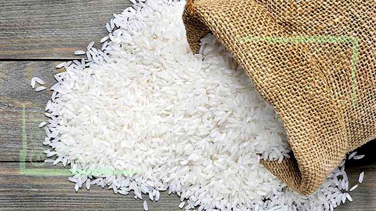 آغاز عرضه اینترنتی برنج ایرانی از فردا