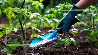 اضافه کردن میکروارگانیسم به جای کود