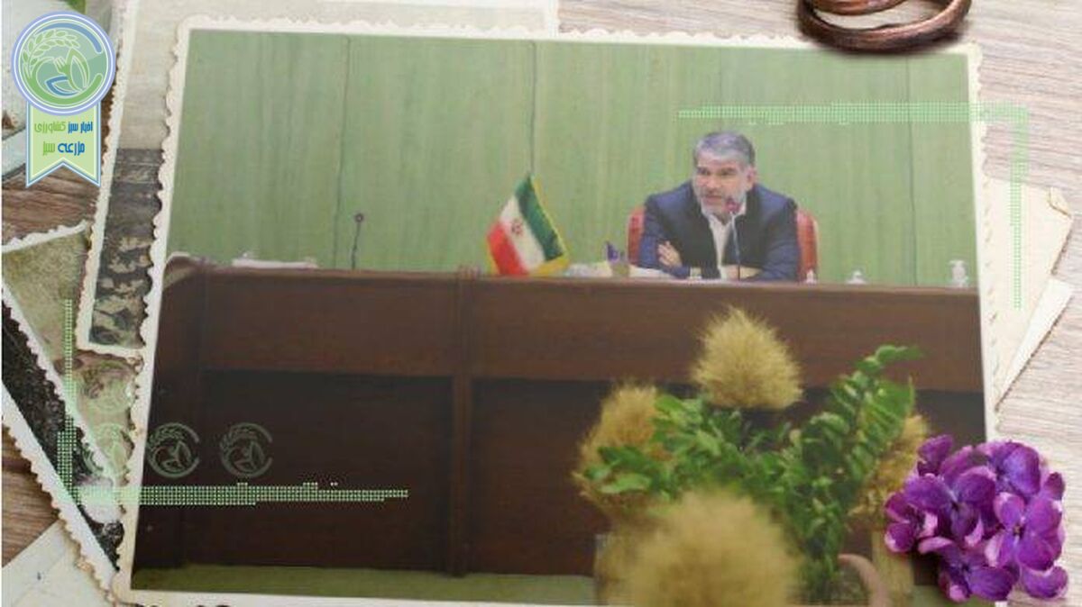 آقای ساداتی‌نژاد، جوجه‌ها را آخر تابستان می‌شمارند