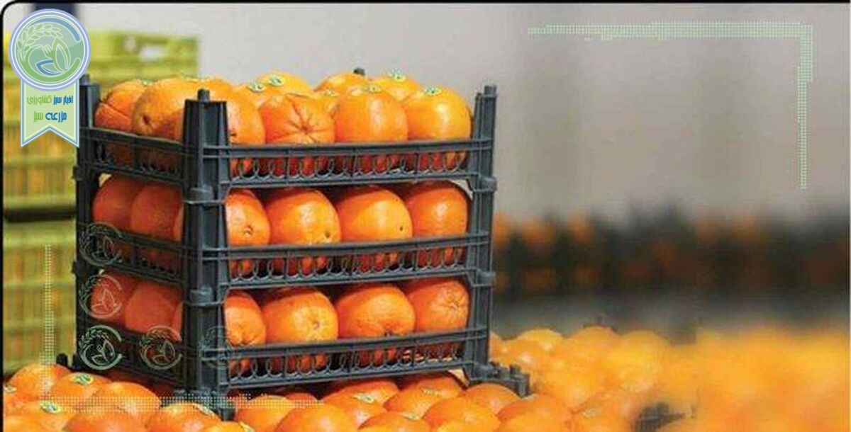 بازرسی 4 ماهه در سازمان تعاون روستایی و ۵ میلیارد تومان