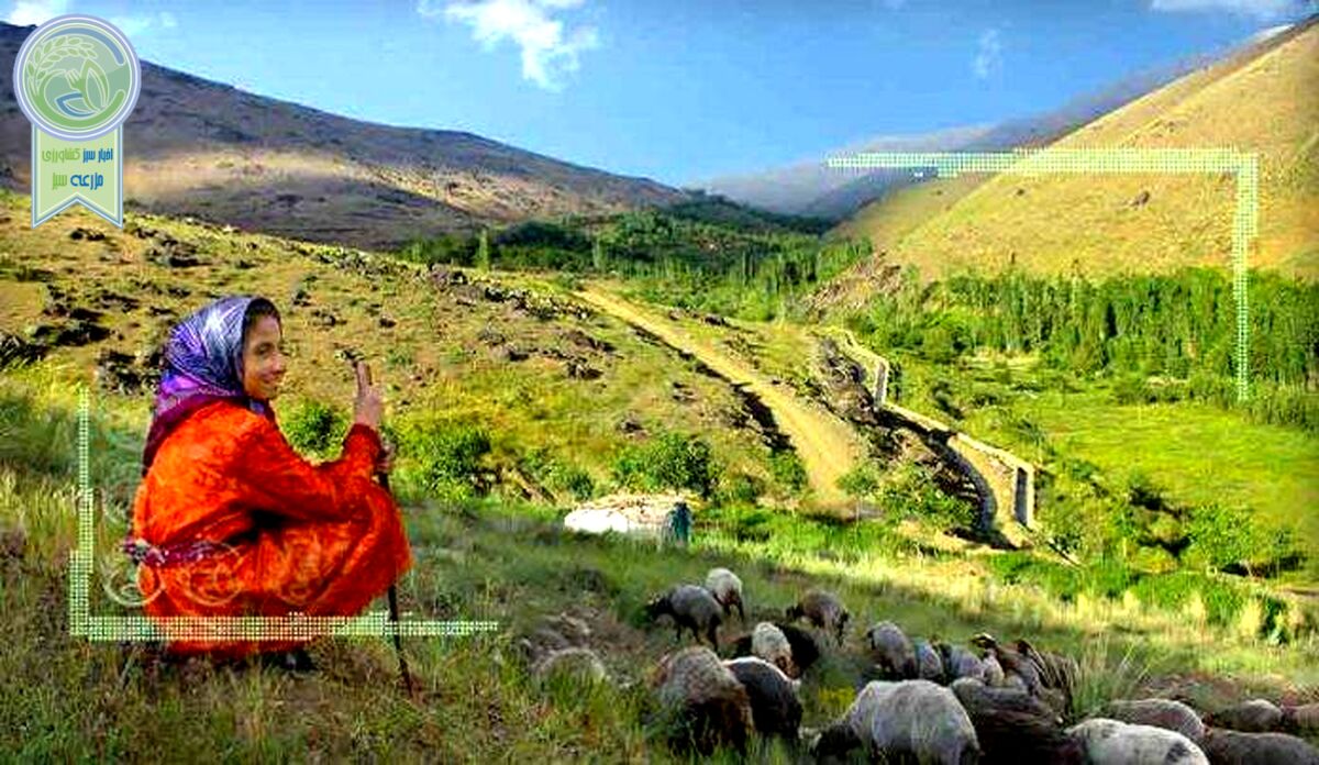 نهضتی برای آبادانی روستاها