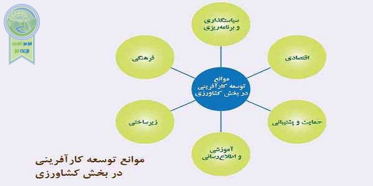 توسعه کارآفرینی کشاورزی؛ موانع و راه‌کارها
